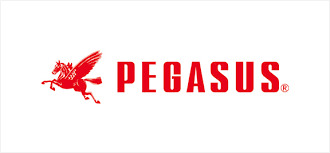 PEGASUS